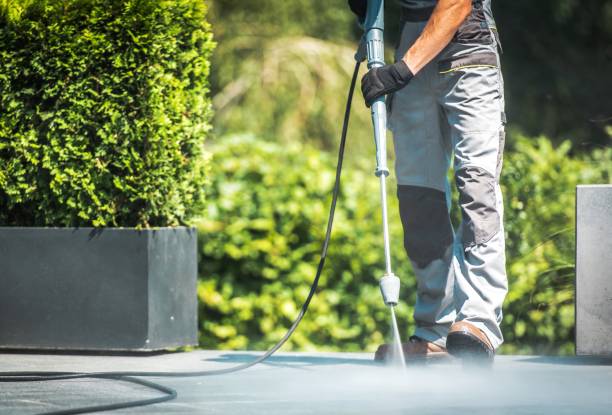 Animal Enclosure Cleaning in Prior Lake, MN